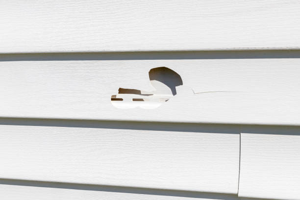 Best Siding for New Construction  in Humboldt Hill, CA