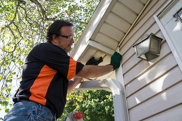 Best Residential Vinyl Siding Installation  in Humboldt Hill, CA